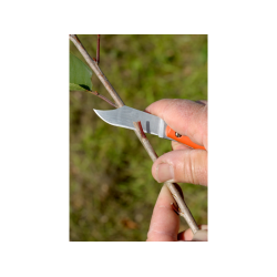 BAHCO P11 Aşı Bıçağı